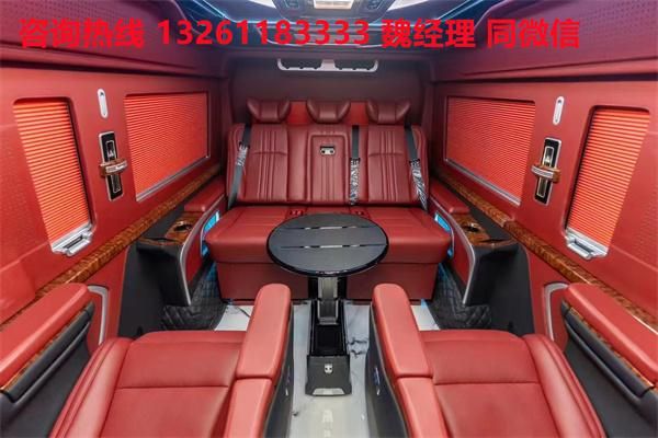 MPV 海狮9座大尺寸商务车卖价凯发K8旗舰厅进口丰田海狮蓝牌(图3)