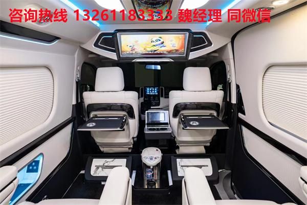 MPV 海狮9座大尺寸商务车卖价凯发K8旗舰厅进口丰田海狮蓝牌(图5)